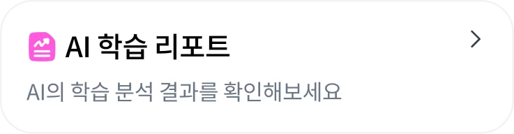 AI 학습 리포트